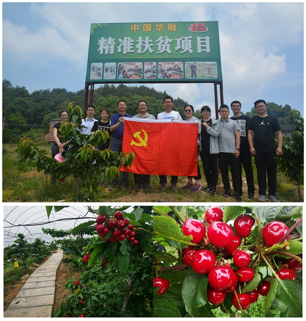 【鄉(xiāng)村振興】中國華融駐點幫扶村連續(xù)獲評達(dá)州市先進(jìn)黨組織